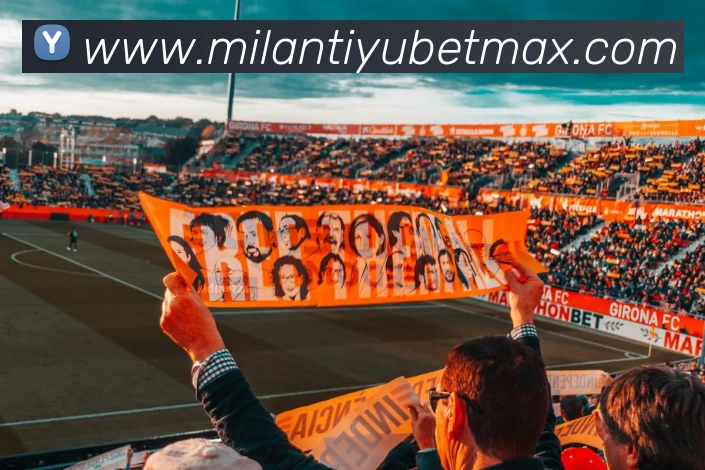 米兰体育APP 封面图